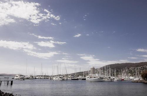 Hobart Central Business District House | Sandy Bay splendour - Steps from the seaside