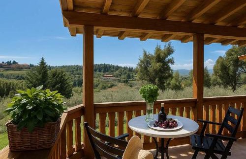 Sane House | Sani Olive Grove Gem - The Ultimate Sunny Getaway