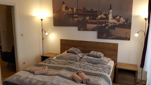 Veszprem Apartment | Sarolt Apartman