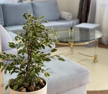 Wangen im Allgaeu Apartment | Schöne Wohnung in der Altstadt