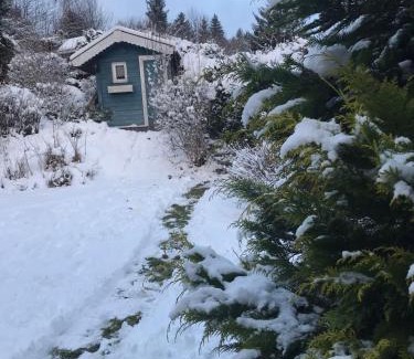 Wakenfeld House | Schönwald Waldchalet am Musenberg