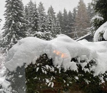 Wakenfeld House | Schönwald Waldchalet am Musenberg