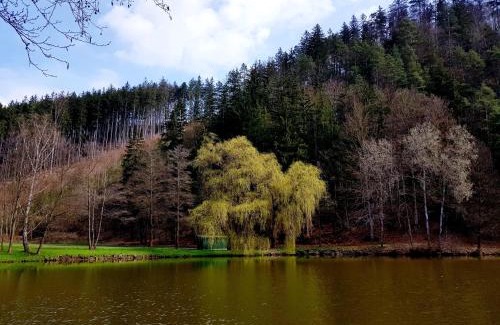 Hostejn House | Schupplerova vila