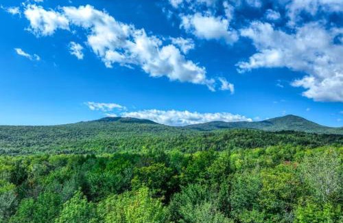 Carrabassett Valley House | Scoot Cabin - Dogs Welcome!