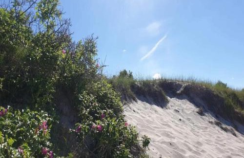 Dronningmolle House | Seaside Retreat in Dronningmolle-By Traum