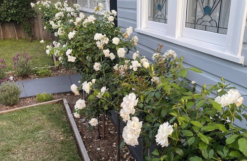 Shellharbour Cottage | Seaside Village Cottage Charm