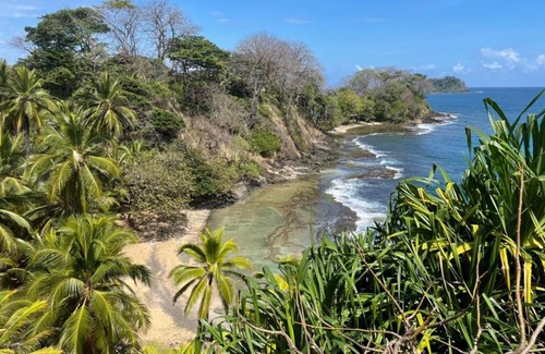 Eastern Panama Other | SELVAMAR GLAMPING - PUNTA MANZANILLO