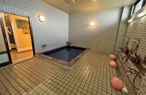 Fujikawaguchiko Hotel | SEMINAR PLAZA ROYAL FUJI