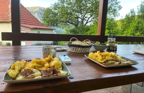 Pluzine House | Seosko domaćinstvo Aprcović