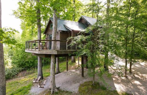 Denver House | Serenity House- a treehouse