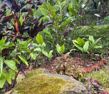 Sabana Redonda House | Serenity Mountain