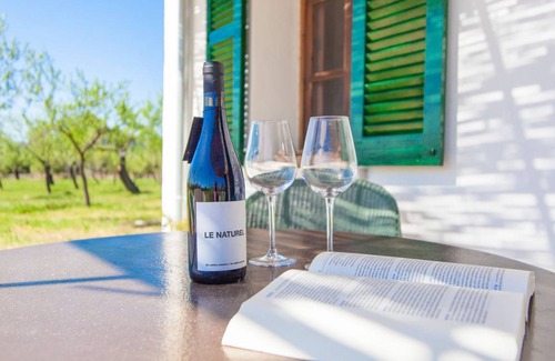 Selva House | Ses Planes - Adults Only (ca Na Faustina)