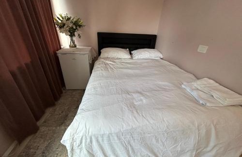 Reykjavik House | Shared Vinod house
