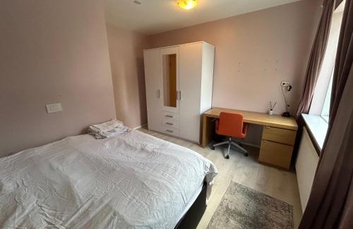 Reykjavik House | Shared Vinod house