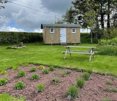 Gwynfe Other | Shepherds Hut - Brecon Beacons