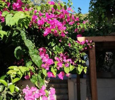 Kefalos Apartment | SINI Apartments 3A