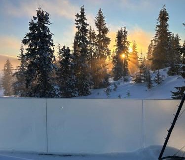 Sjusjoen House | Sjusjøstua by Norgesbooking - cabin close to cross country trails