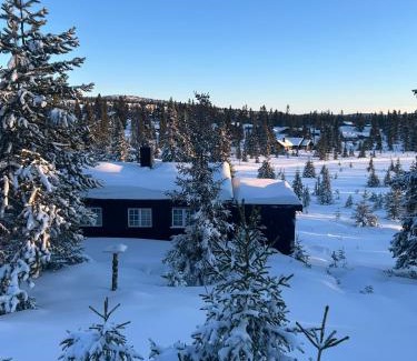Sjusjoen House | Sjusjøstua by Norgesbooking - cabin close to cross country trails