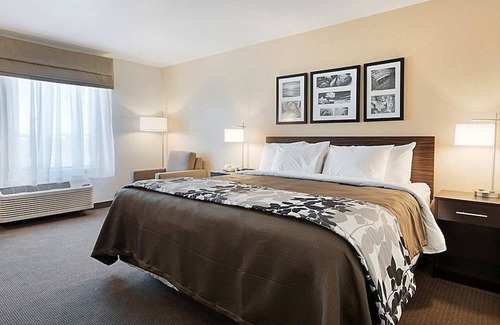 Carlsbad Hotel | Sleep Inn & Suites Carlsbad Caverns Area