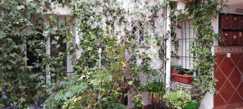 San Francisco-Ribera Apartment | Sleep & Shower in a typical district