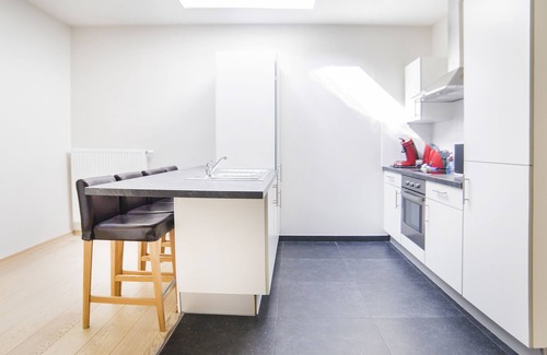 Lower Town Apartment | Smartflats City - Brusselian
