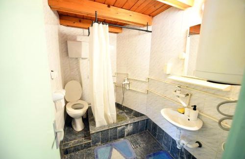Central Serbia Apartment | Smestaj SIMOVIC 1