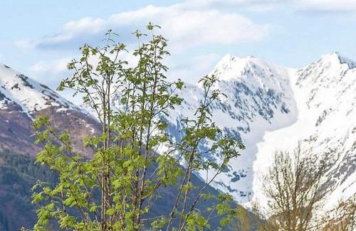 Alyeska Ski Chalet | Snowbird Chalet #8