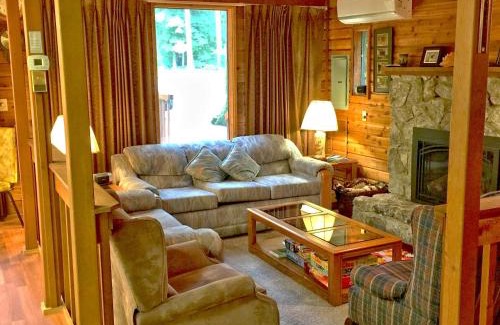 Glacier House | Snowline Cabin 35 - A pet-friendly country cabin, Now has air conditioning