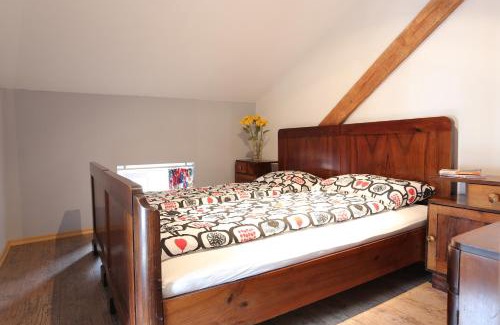 Tolmin Apartment | Soča House Tolmin