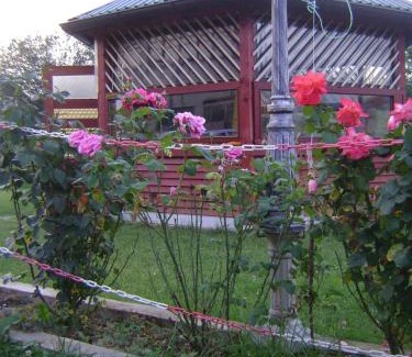 Hadzici House | SOBE I APARTMANI HADZICI RENT rooms apartments