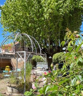 Valreas Apartment | Sous le tilleul