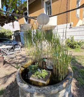 Valreas Apartment | Sous le tilleul