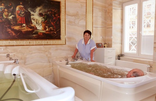 City Centre Hotel | SPA hotel Purkyně
