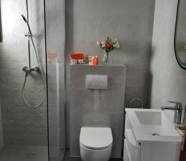 Podglavica Apartment | Spacious apartment w balcony big garden & grill
