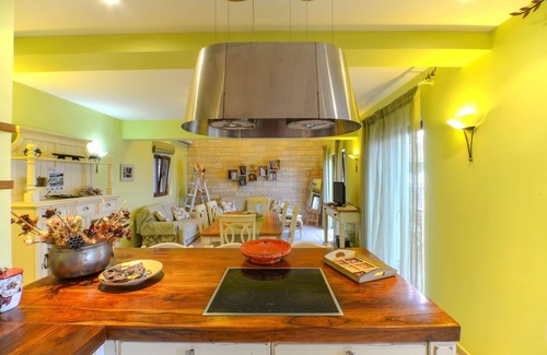 Gaios Villa | Spacious, villa Ionia directly the sea.