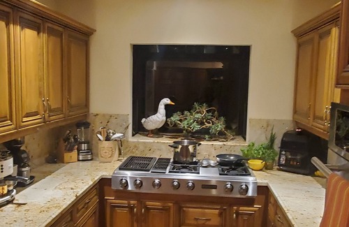 Southeast Carmel House | Spanish Villa in Carmel-by-the-Sea - Family beach vacay!