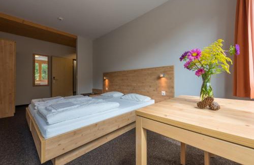 Fiesch Hostel | Sport Resort Fiesch - Fiescher Hostel