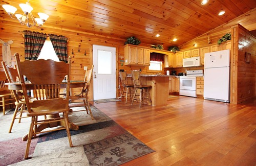 Bryson City House | Spring Fling at Bryson City ! - Cozy Log Cabin