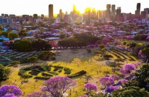 Spring Hill Apartment | Springhill close to CBD 2B1B and Parking - SH1108