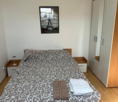 Sabac Apartment | Stan na dan Uzanovic