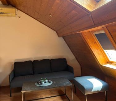 Sabac Apartment | Stan na dan Uzanovic