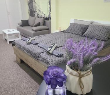 Zajecar Apartment | Stari Zaječar apartments