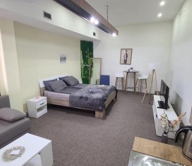 Zajecar Apartment | Stari Zaječar apartments
