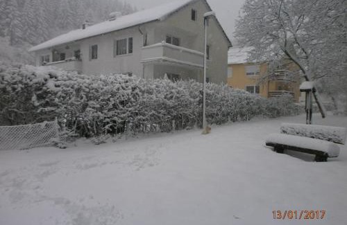Bad Sachsa Apartment | Steinatal