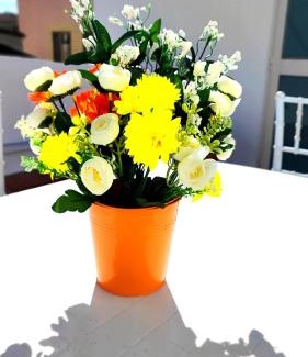 Vasto Apartment | Stellina in centro Sweet Apartaments