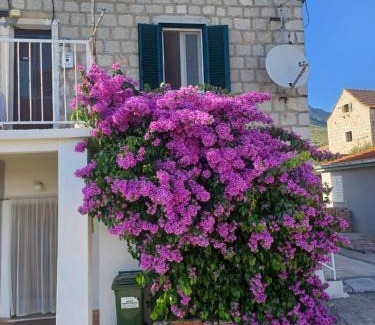 Solin Apartment | Stone Guest House