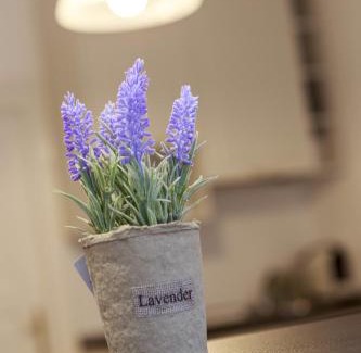 Brasov City Centre Apartment | Strada Mureșenilor - Savas Apartament