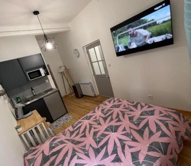 Bourges Apartment | Studio #1 hyper centre Gordaine