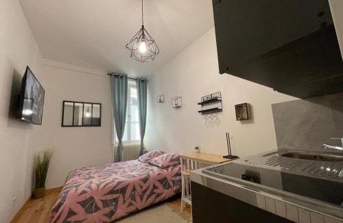 Bourges Apartment | Studio #1 hyper centre Gordaine