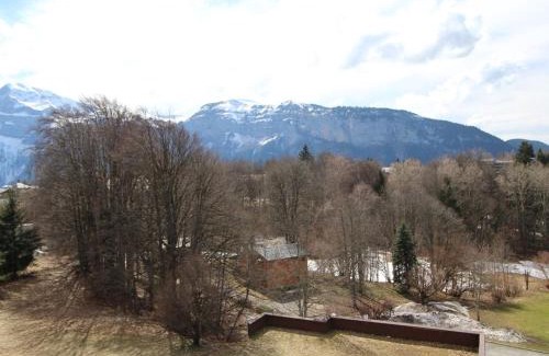 Les Carroz-d'Araches Apartment | Studio 4 pers. proche pistes et commerces, balcon, parking - FR-1-572-131